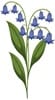 bluebell